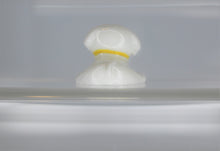 Load image into Gallery viewer, Dog, Miniature