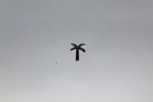 Load image into Gallery viewer, Nail Charms, Palm Trees