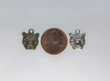 Load image into Gallery viewer, Tiger, Big Cat