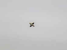 Load image into Gallery viewer, Nail Decals, Clover - 10 Decals for 99 cents