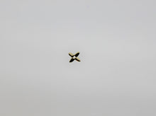 Load image into Gallery viewer, Nail Decals, Clover - 60 Decals for $3.99