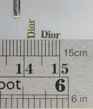 Load image into Gallery viewer, Nail Rivets - 10 Rivets for 99 cents