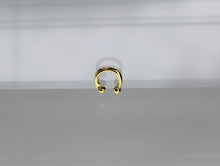 Load image into Gallery viewer, Nail Rivet, Nose Ring - 10 Pieces for 99 cents