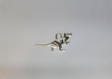 Load image into Gallery viewer, Dinosaur, T-Rex, Tyrannosaurus Rex