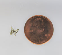 Load image into Gallery viewer, Nail Rivets, Butterfly - 10 Rivets for 99 cents