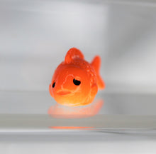 Load image into Gallery viewer, Gold Fish, Small Chubby GoldFish, Miniature