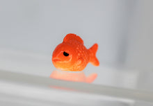 Load image into Gallery viewer, Gold Fish, Small Chubby GoldFish, Miniature