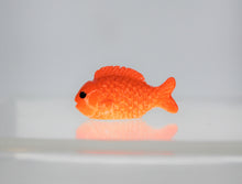 Load image into Gallery viewer, Gold Fish, Small Chubby GoldFish, Miniature
