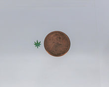 Load image into Gallery viewer, Nail Glitter, Pot