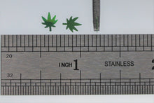 Load image into Gallery viewer, Nail Glitter, Pot