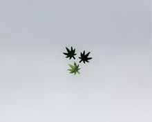 Load image into Gallery viewer, Nail Glitter, Pot