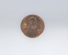 Load image into Gallery viewer, Nail Charms, Cactus, Tiniest San Pedro Cactus