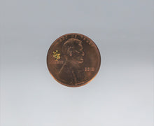 Load image into Gallery viewer, Nail Charms, Cactus, Tiniest San Pedro Cactus