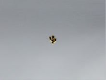 Load image into Gallery viewer, Nail Charms, Cactus, Tiniest San Pedro Cactus