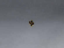 Load image into Gallery viewer, Nail Charms, Cactus, Tiniest San Pedro Cactus