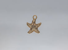 Load image into Gallery viewer, Starfish, Small Starfish Charm, Sea Creature