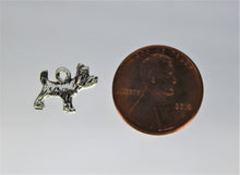 Load image into Gallery viewer, Dog, Teeny Tiny Scottie, Terrier