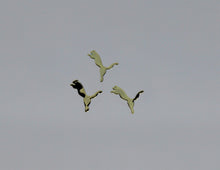 Load image into Gallery viewer, Nail Decals - 60 Decals for $3.99