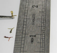 Load image into Gallery viewer, Nail Decals - 60 Decals for $3.99