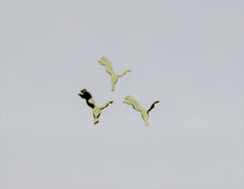 Load image into Gallery viewer, Nail Decals - 60 Decals for $3.99