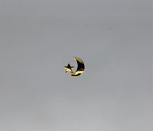 Load image into Gallery viewer, Nail Charms, Moon