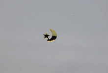 Load image into Gallery viewer, Nail Charms, Moon