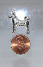 Load image into Gallery viewer, Dog, Akita, Husky