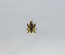 Load image into Gallery viewer, Nail Charms, Pot