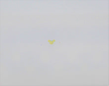 Load image into Gallery viewer, Nail Decals, Mouse - 10 Decals for 99 cents