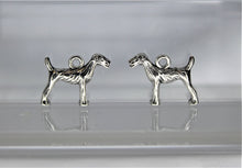 Load image into Gallery viewer, Dog, Terrier, Hound