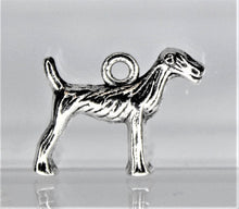 Load image into Gallery viewer, Dog, Terrier, Hound