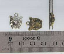 Load image into Gallery viewer, Tiger, Big Cat