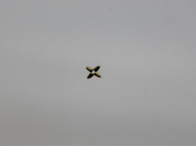 Load image into Gallery viewer, Nail Decals, Clover - 10 Decals for 99 cents