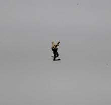 Load image into Gallery viewer, Nail Decals - 60 Decals for $3.99