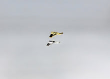 Load image into Gallery viewer, Nail Charms, Gun