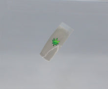 Load image into Gallery viewer, Nail Glitter, Pot