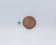 Load image into Gallery viewer, Nail Glitter, Pot