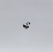 Load image into Gallery viewer, Swan, Swan Nail Rivets - 10 Pieces for 99 cents