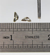 Load image into Gallery viewer, Nail Decals, Butterfly - 10 Decals for 99 cents