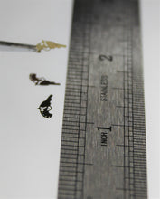 Load image into Gallery viewer, Nail Decals, Gun - 10 Decals for 99 cents