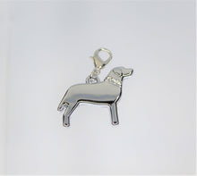 Load image into Gallery viewer, Dog, Labrador, Retriever, Hunting Dog