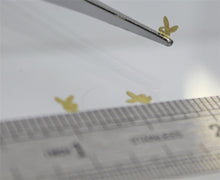 Load image into Gallery viewer, Nail Rivets - 10 Rivets for 99 cents