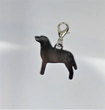 Load image into Gallery viewer, Dog, Labrador, Retriever, Hunting Dog