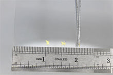 Load image into Gallery viewer, Nail Rivets - 60 Rivets for $3.99