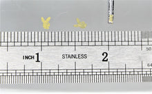 Load image into Gallery viewer, Nail Rivets - 10 Rivets for 99 cents