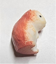 Load image into Gallery viewer, Hamster, Miniature Pet Rodent