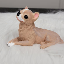 Load image into Gallery viewer, Chihuahua Statue, tricolor chihuahua figurine made of concrete.
