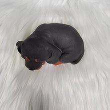 Load image into Gallery viewer, Puppy Cement Statue, Rottweiler, Doberman, Dachsund, Black and Tan Coonhound
