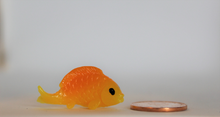 Load image into Gallery viewer, Gold Fish, Miniature, Chubby Gold Fish,
