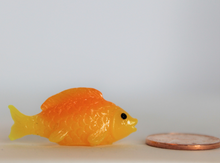 Load image into Gallery viewer, Gold Fish, Miniature GoldFish,
